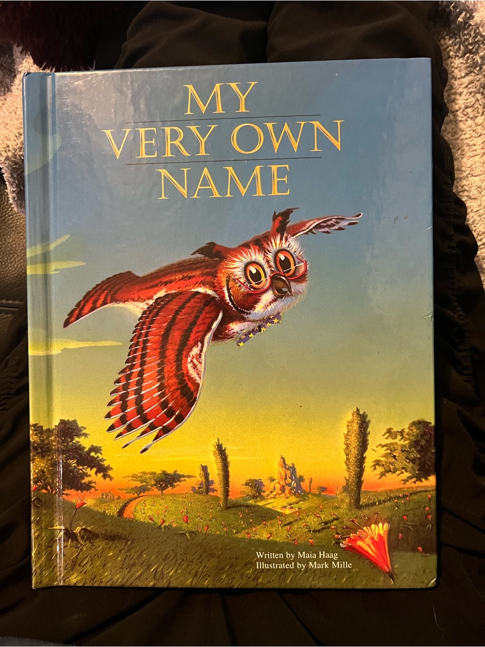 My Very Own Name - Illustrated Children's Book (Blue & Red Cover)